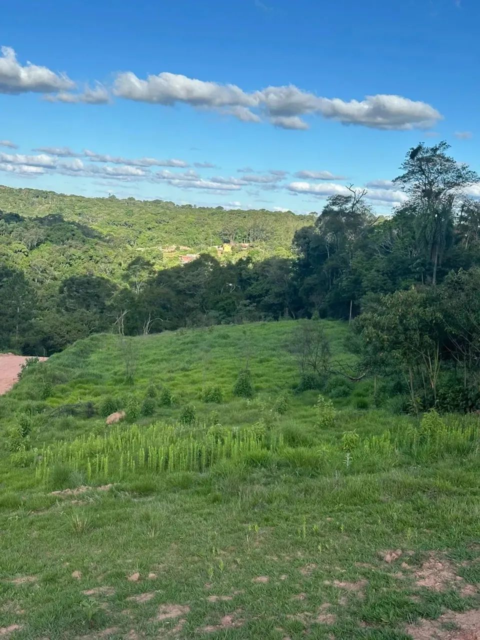 TERRENO EM IBIÚNA - Foto 2