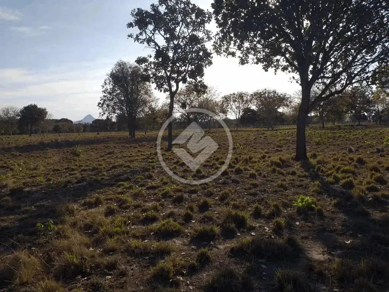 FAZENDA À VENDA EM JANGADA/MT NA BR 364 - 210 HECTARES codigo: 45983