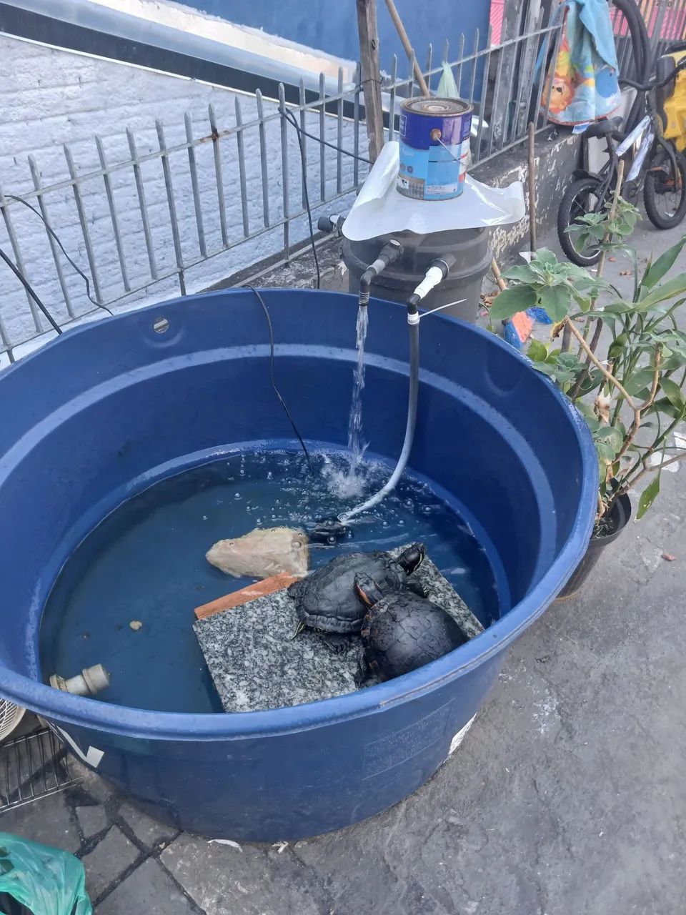 Bomba para tanqui