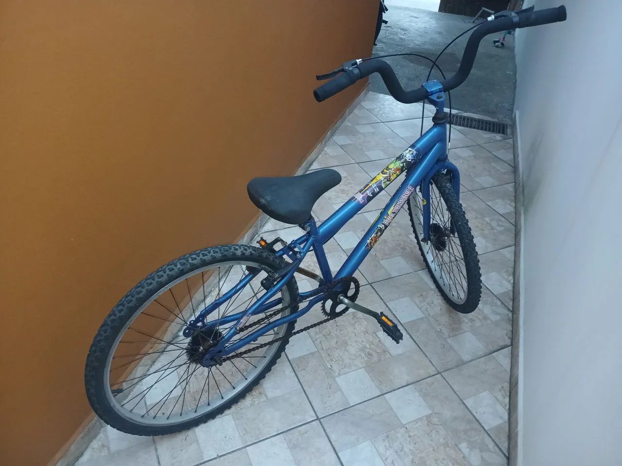 Bicicleta aro 24