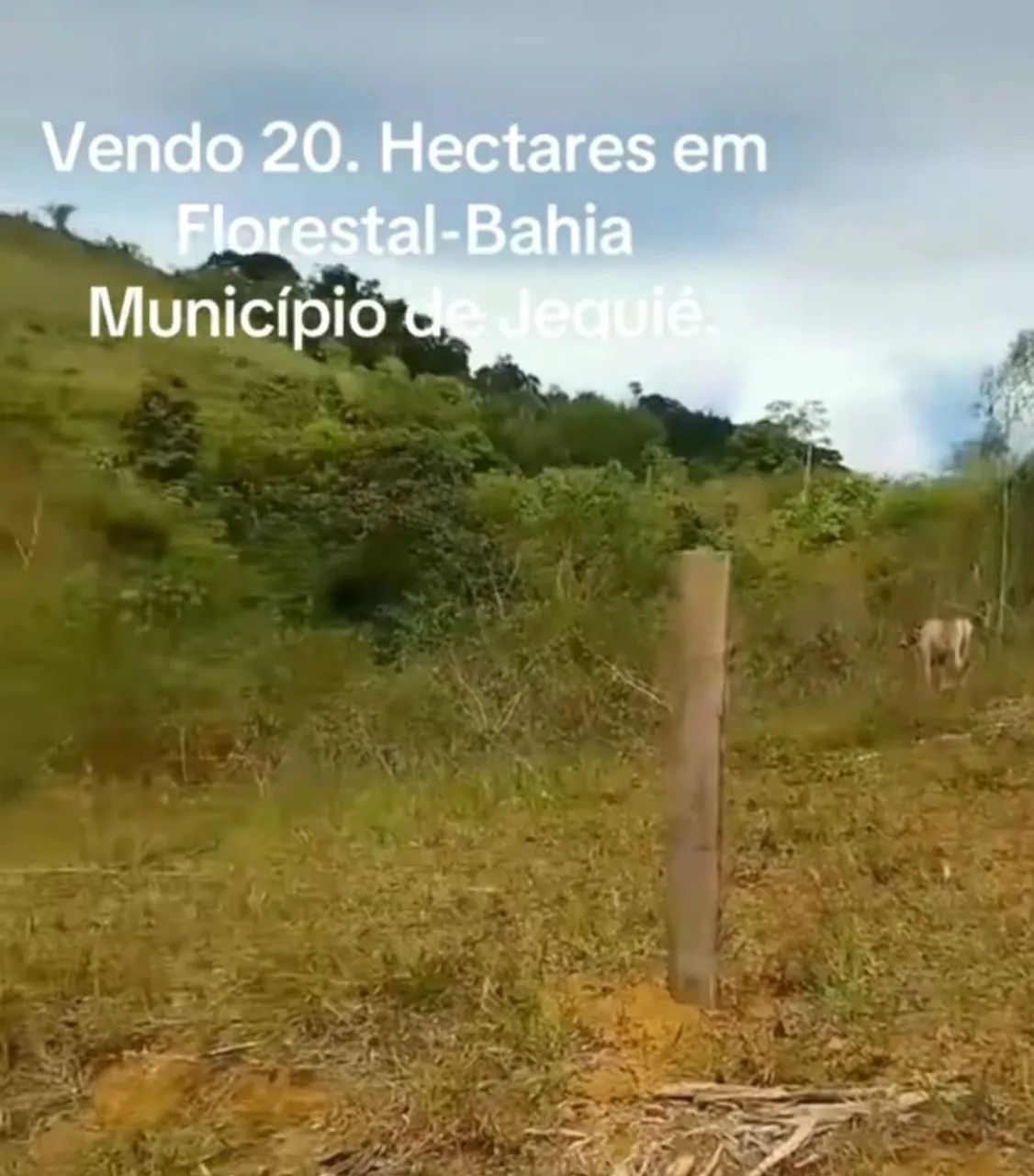 Fazenda Bosque do Campo 