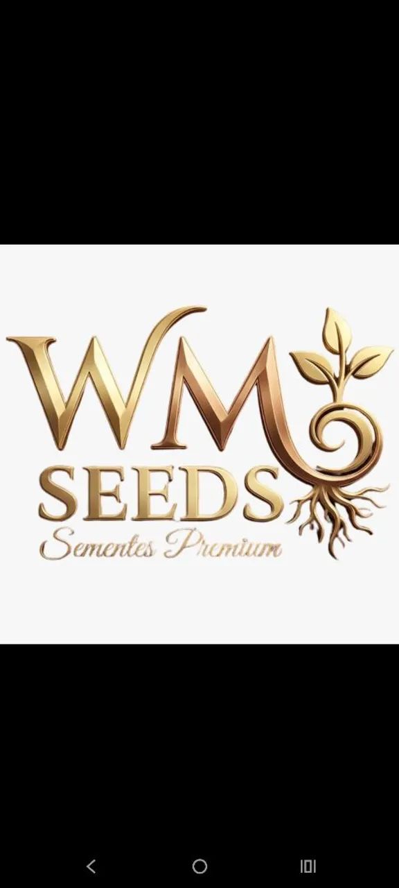 WM SEEDS Sementes Premium diferenciadas - Foto 3