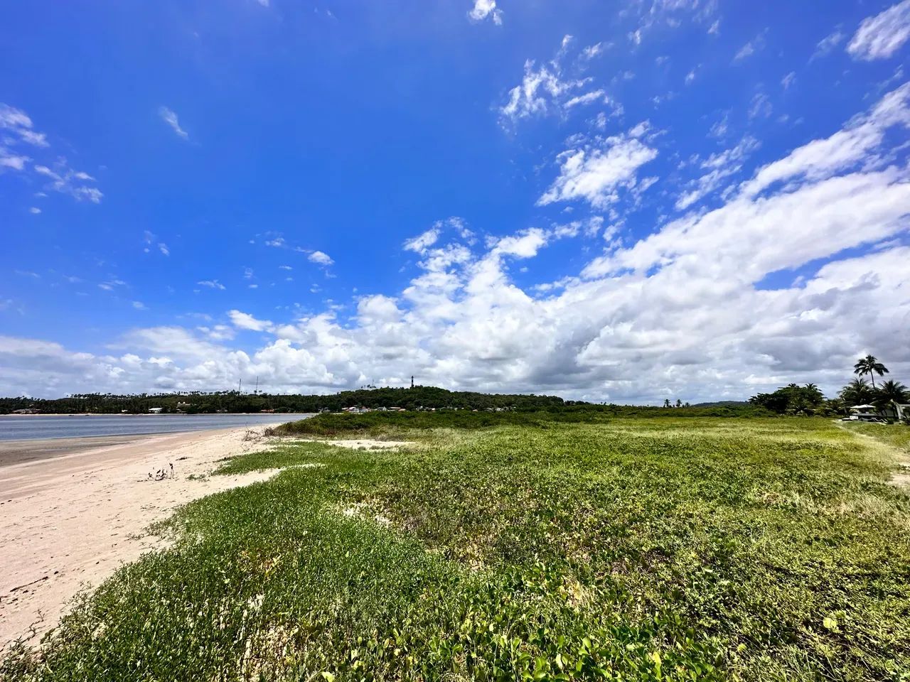 Japaratinga. Área com 8 hectares (80mil metros quadrados), Litoral Nortee - Foto 4