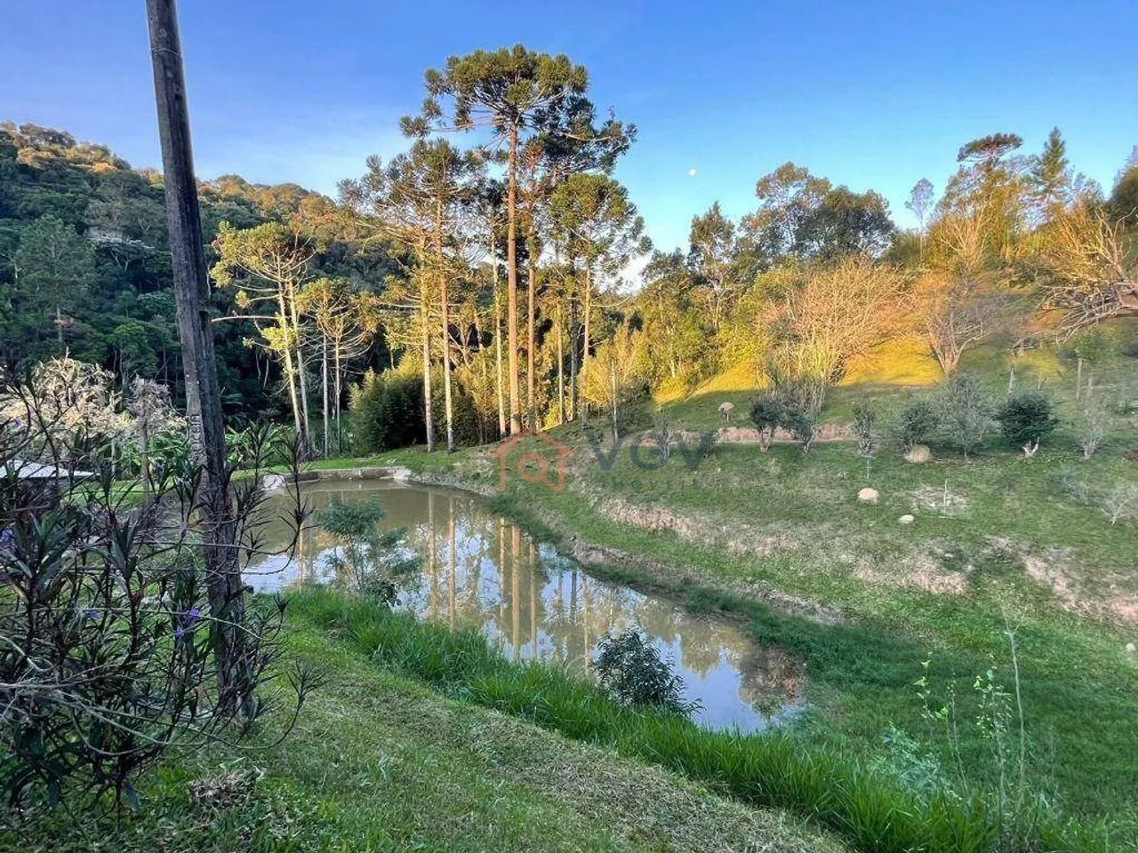 Lindo sitio a venda em são lourenço. - Foto 2
