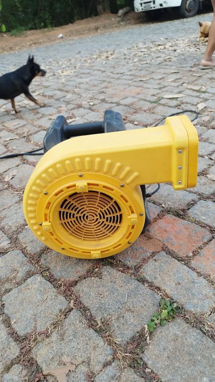 Dois infláveis a venda - Foto 2