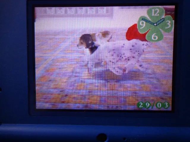 Jogo NintendoDogs Ds - Foto 3