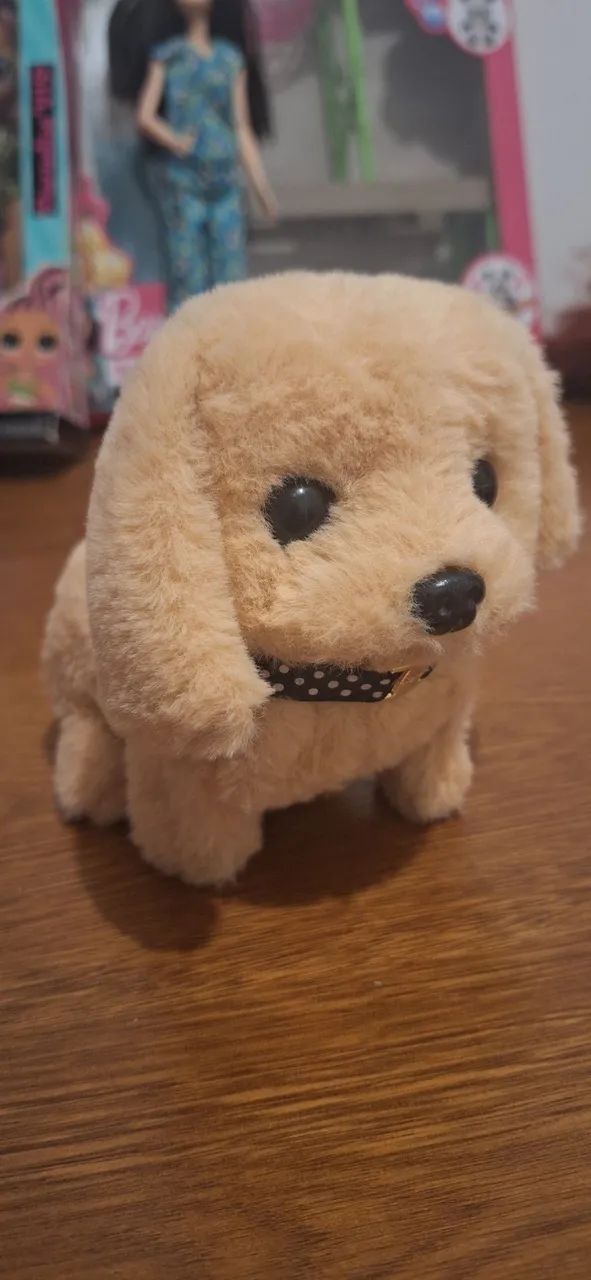 Cachorrinho late late