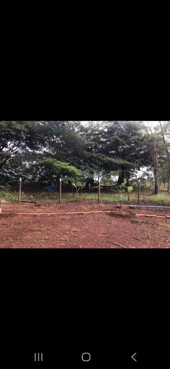 Foto - Brasília - Vila São José (Vicente Pires)
