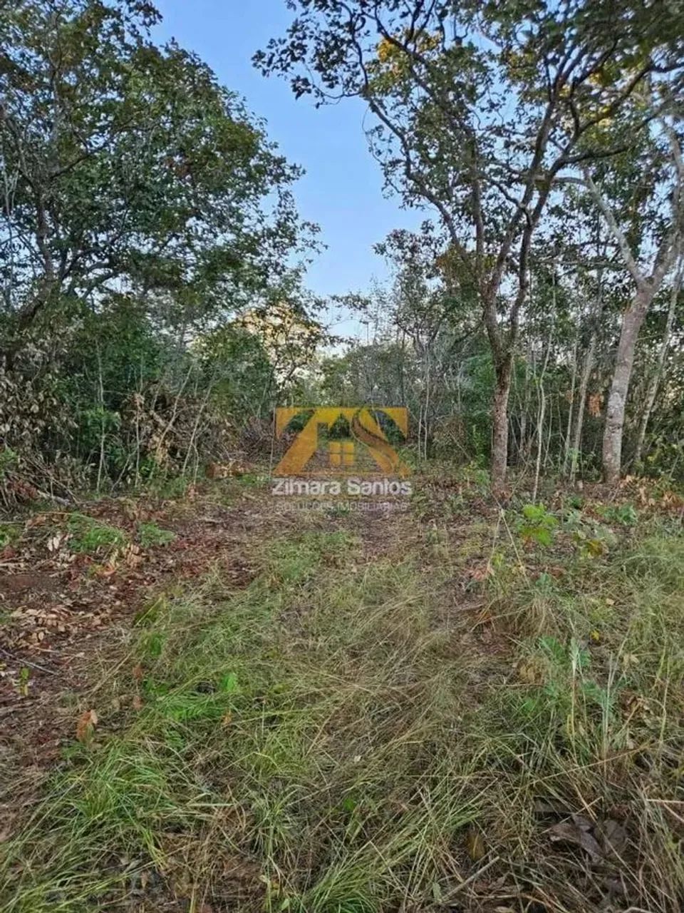 Chácara 2,5 Alqueires - Zona Rural - Próxima a Palmas - Porto Nacional/TO - Foto 7