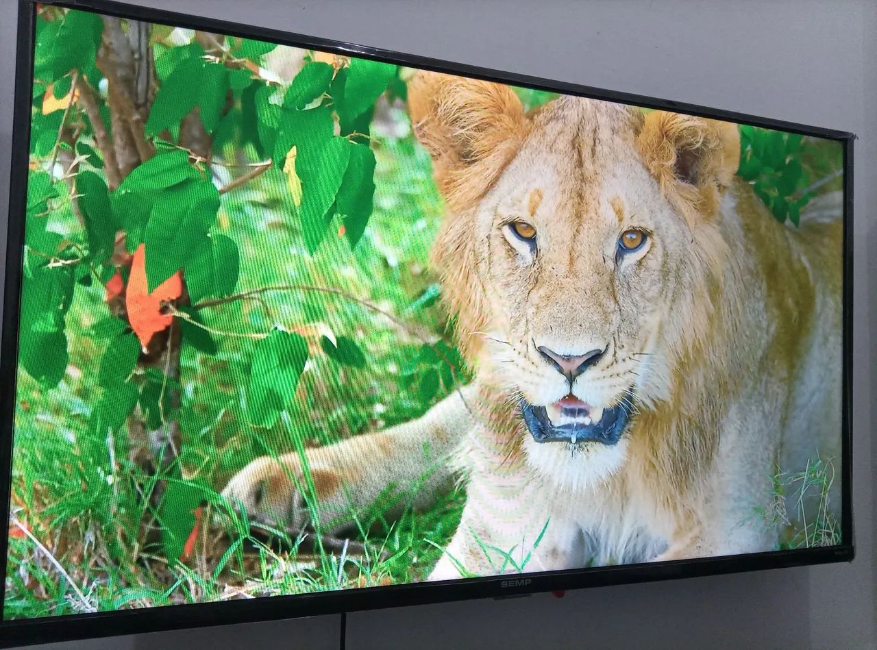 VENDO TV 43 POLEGADAS SMART  - Foto 4