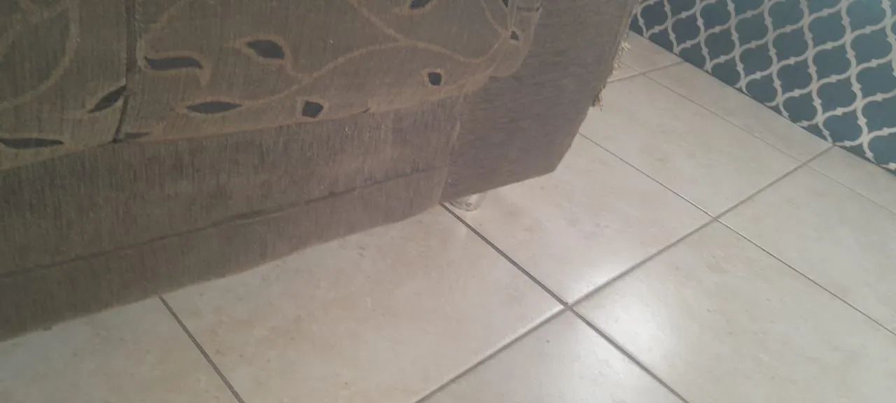 2 sofás / poltronas - Foto 5