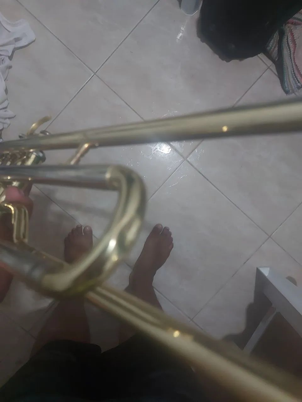 Trombone de Pisto - Foto 5