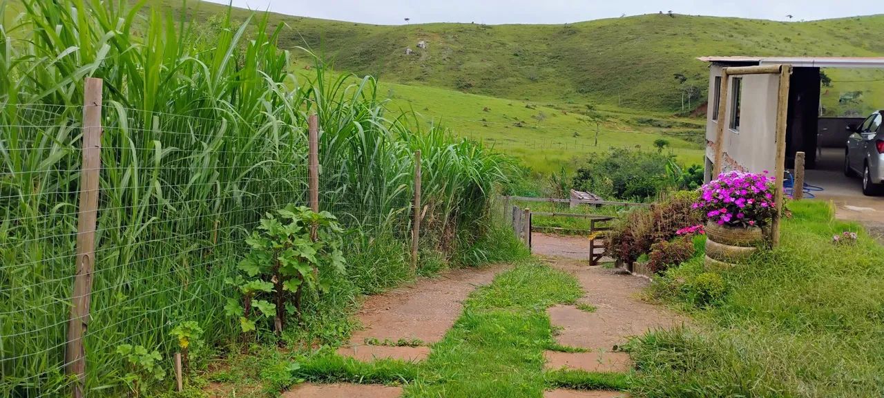Granja - Foto 5