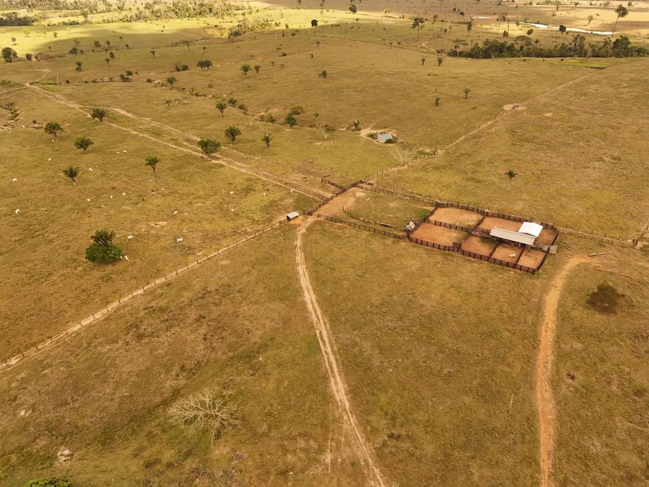 Fazenda com 321 Hectares  - Foto 4