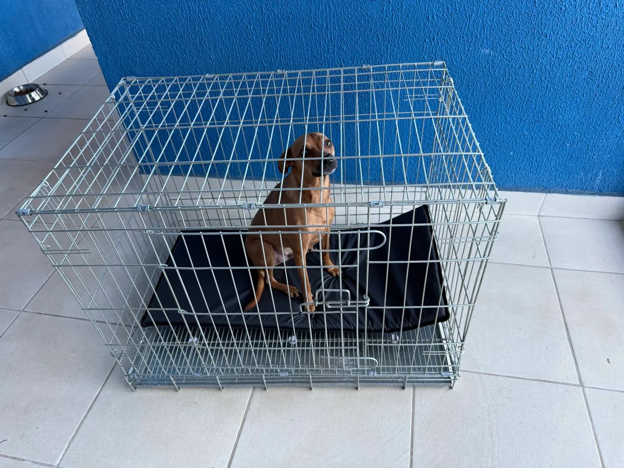 Canil / gaiola / caixa de transporte pra cão  - Foto 4