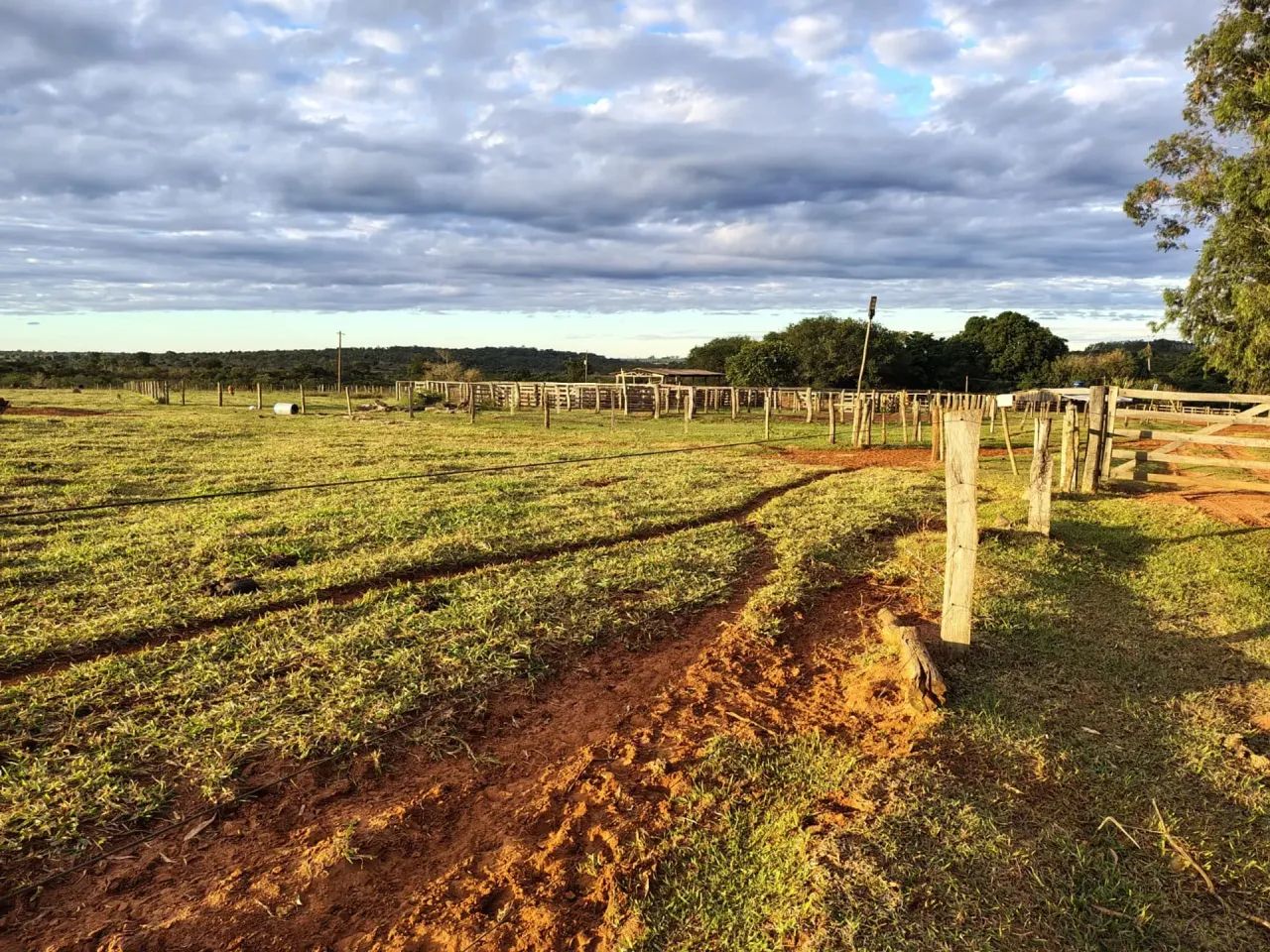 Fazenda 484 HA-  Anhanduí- Campo Grande - MS - Foto 2