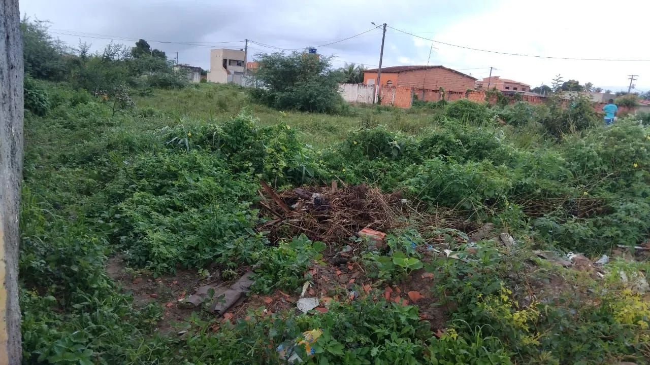 Vendo-se - Foto 5