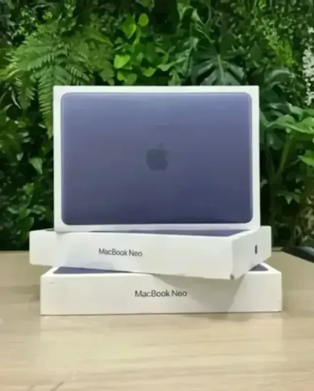 MacBook Neo, 256GB SSD, 8GB RAM, 13 Polegadas, Lacrados, NF e