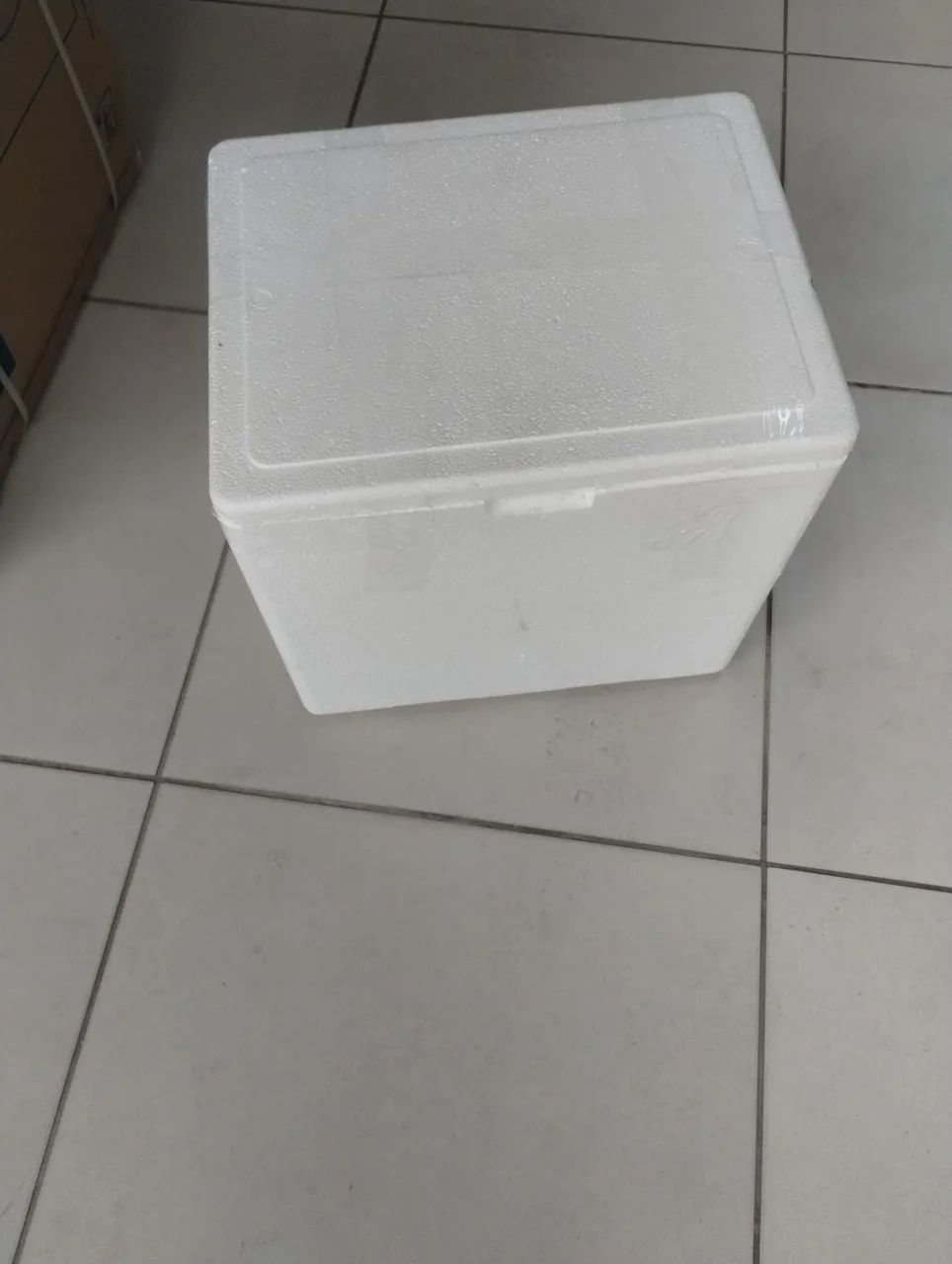 Caixa de isopor para BAG 20,00 - Foto 3