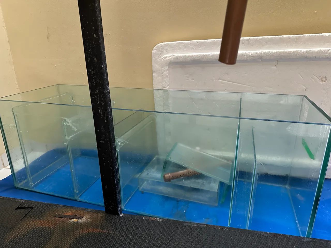 Aquario 500 litros  - Foto 3