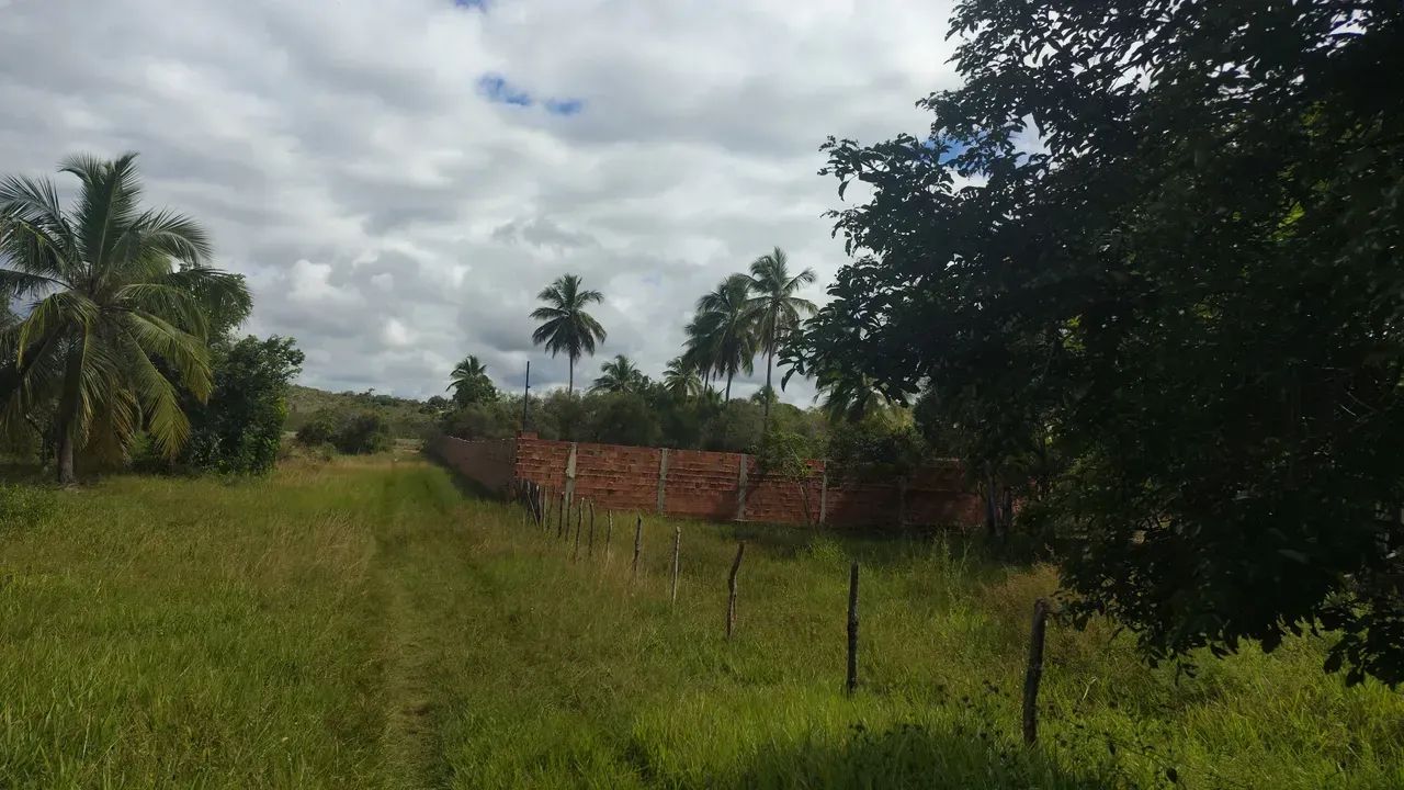 área lagoa tambaquis beira lagoa - Foto 2