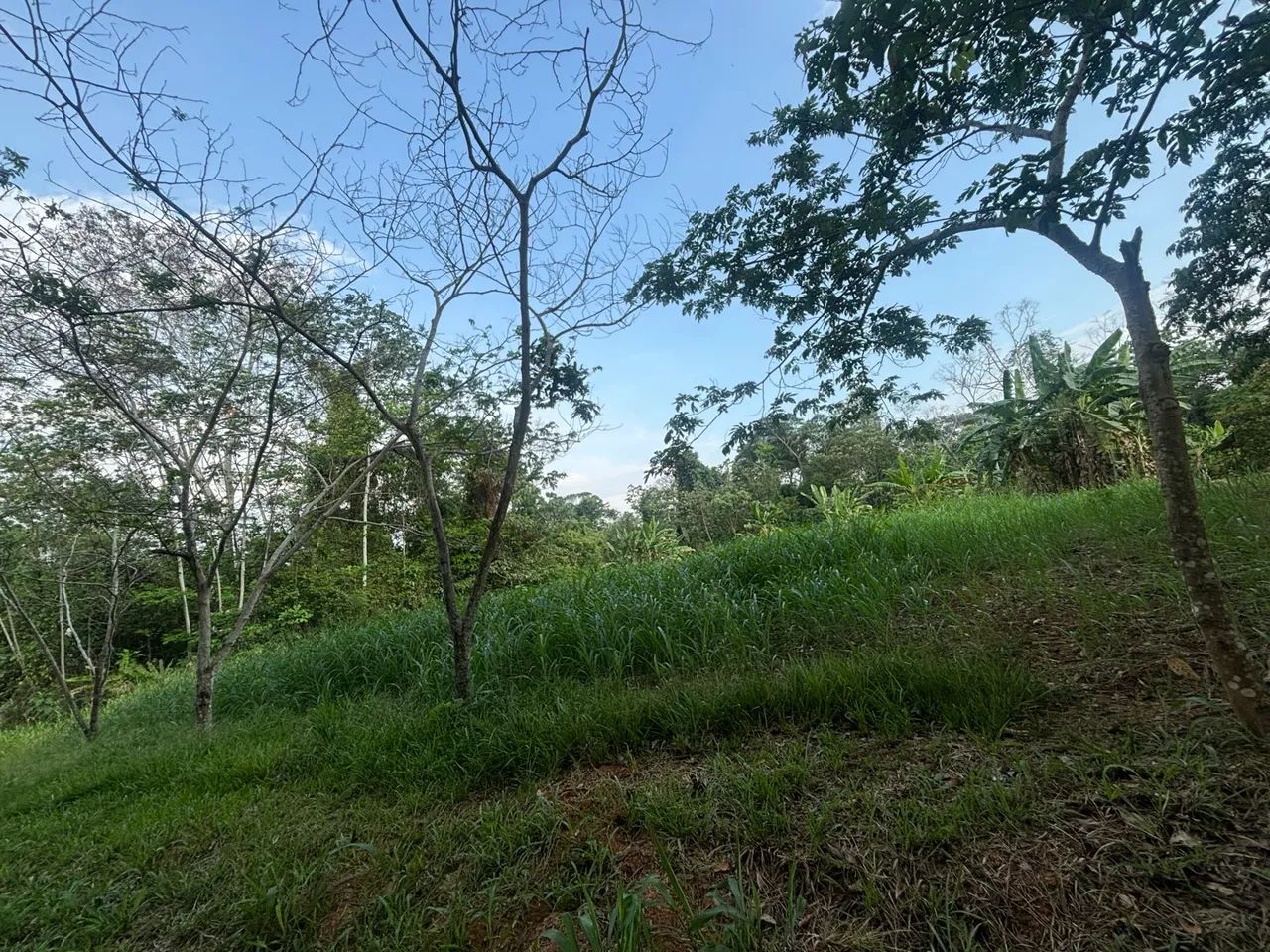 Ótima oportunidade de negócio  - Foto 4