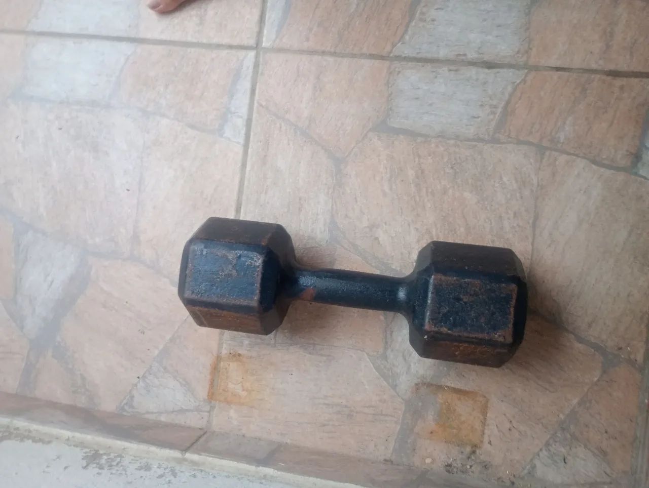Halter 15 kg