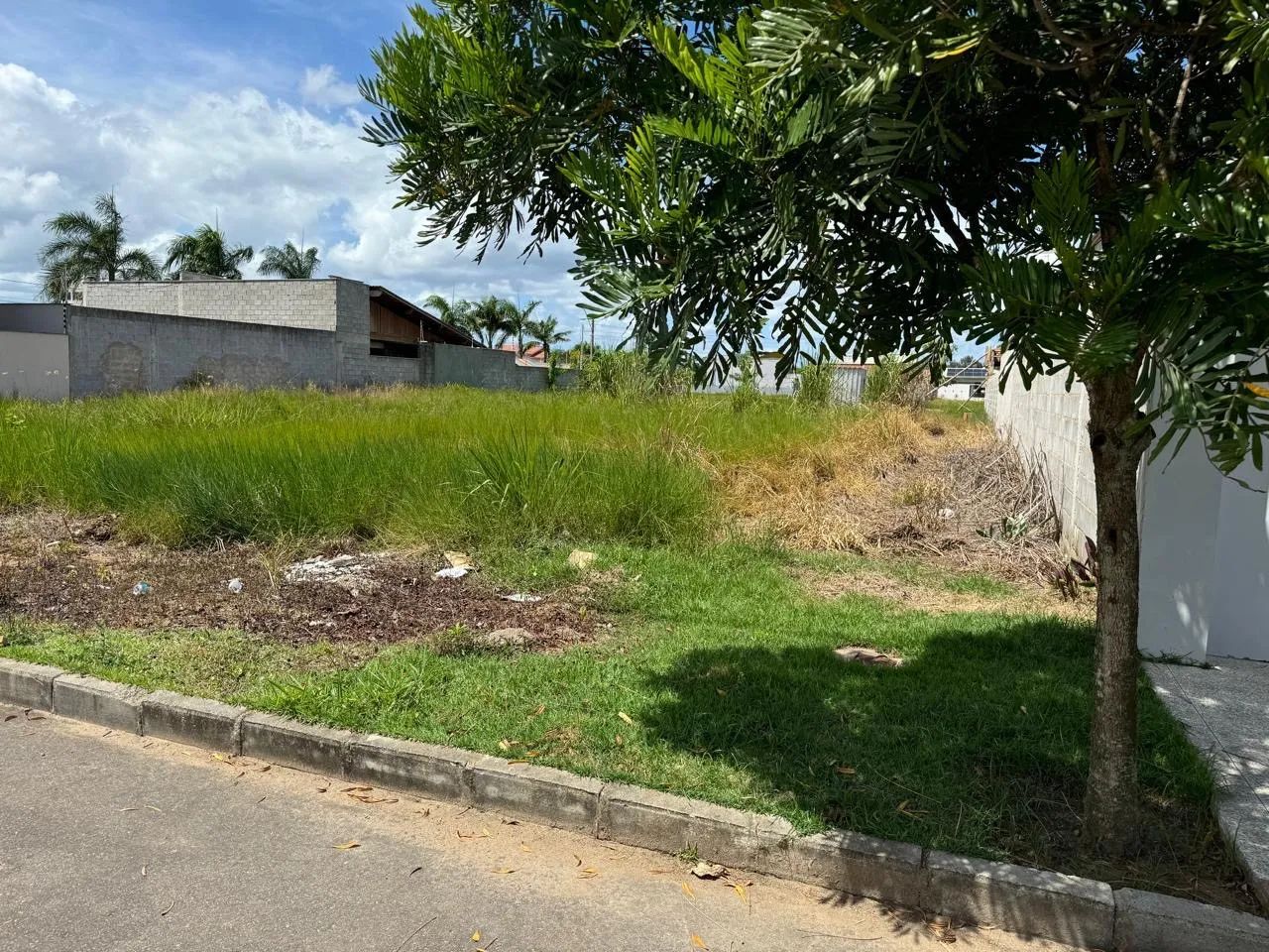 Foto - Aracruz - Vila Nova