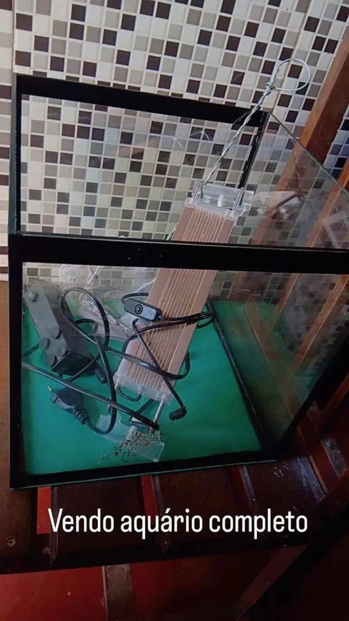 Aquario completo 