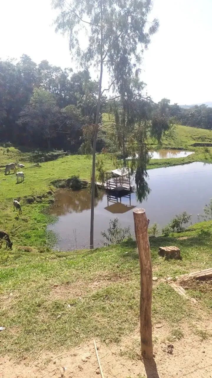 Área Rural 5 alqueires - Congonhinhas - PR - Foto 5
