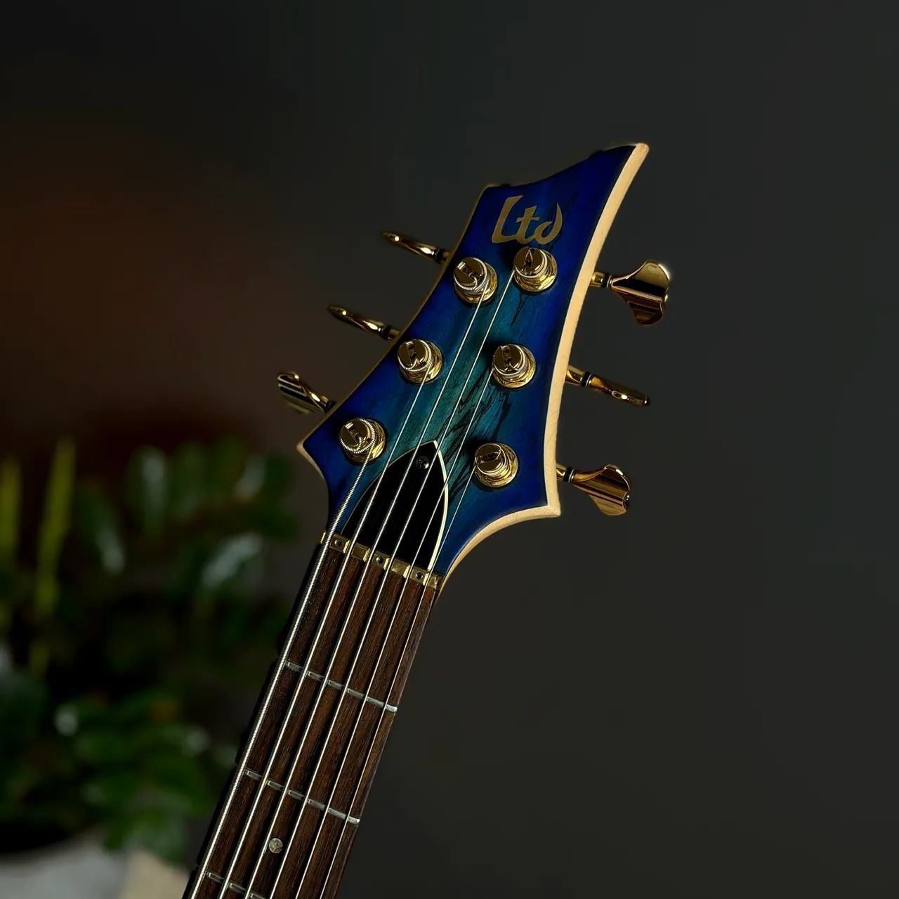 Baixo LTD ESP B - 206 SM Custom - Foto 3