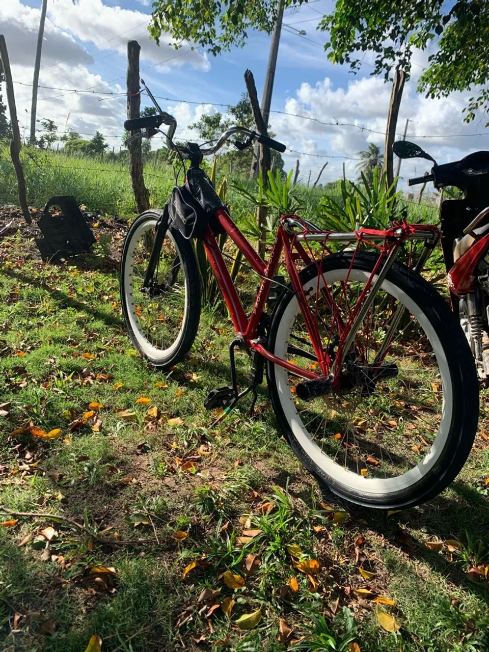 Ciclismo  - Foto 3