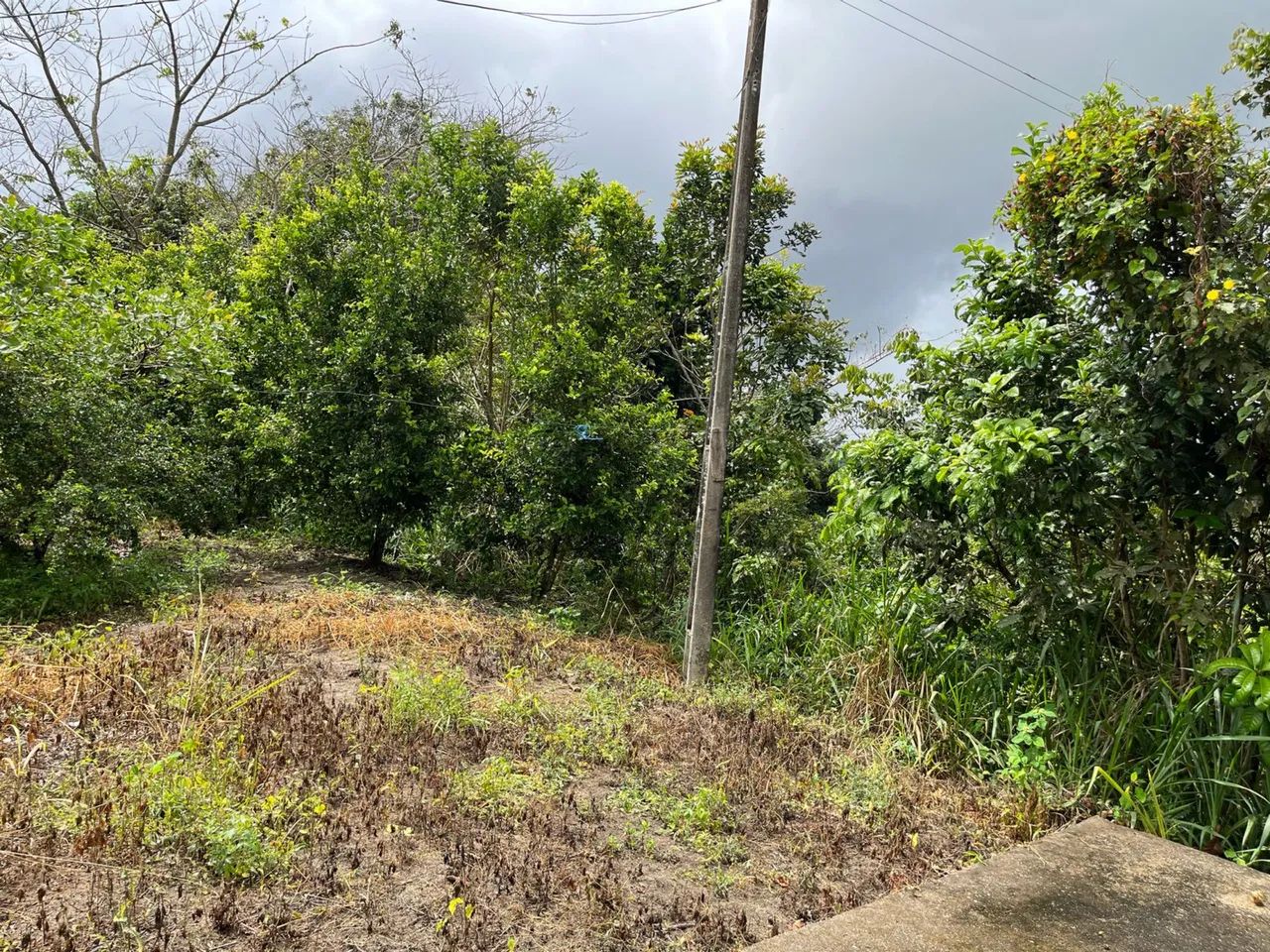 Sítio em Paudalho - Foto 2