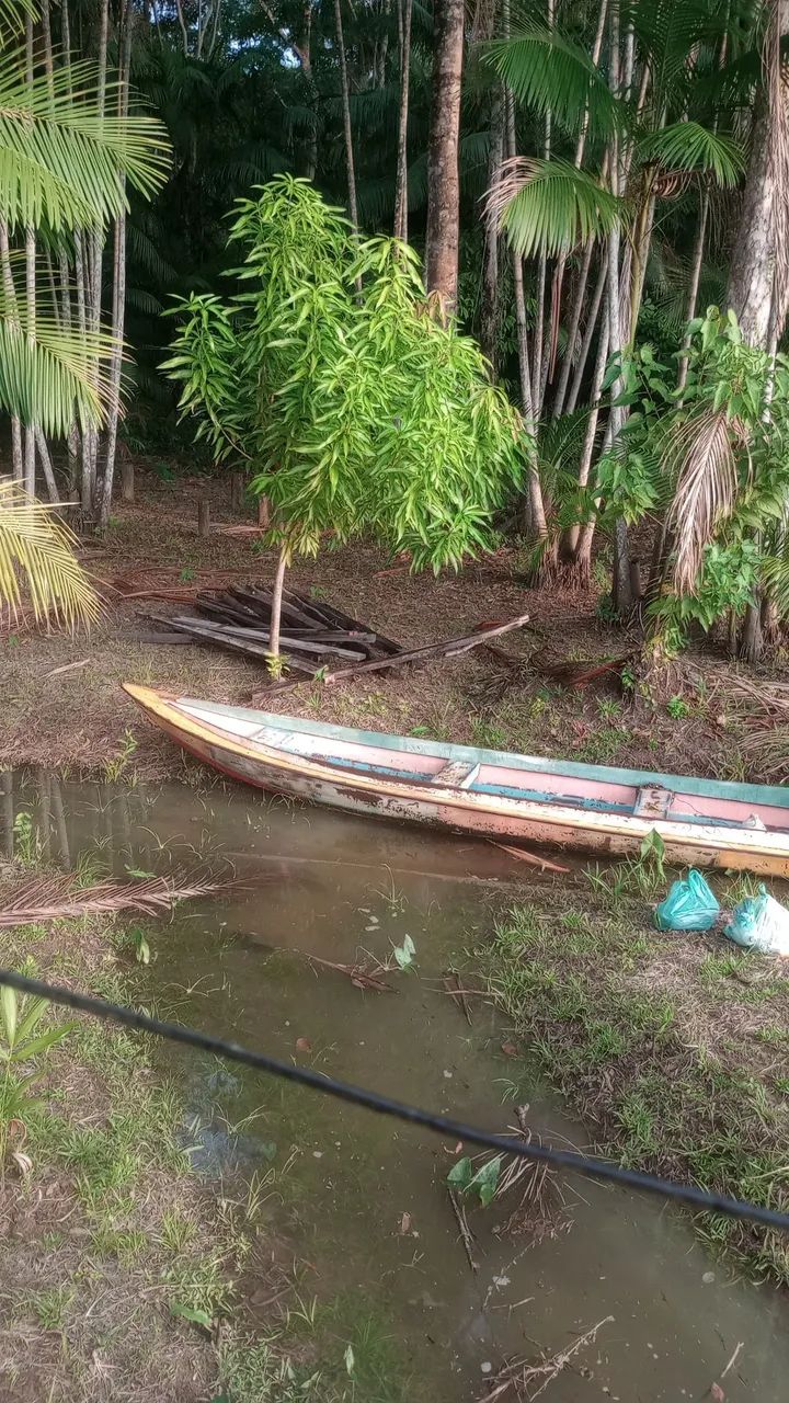 Sítio no Jacarecaia próximo a Cidade  - Foto 2