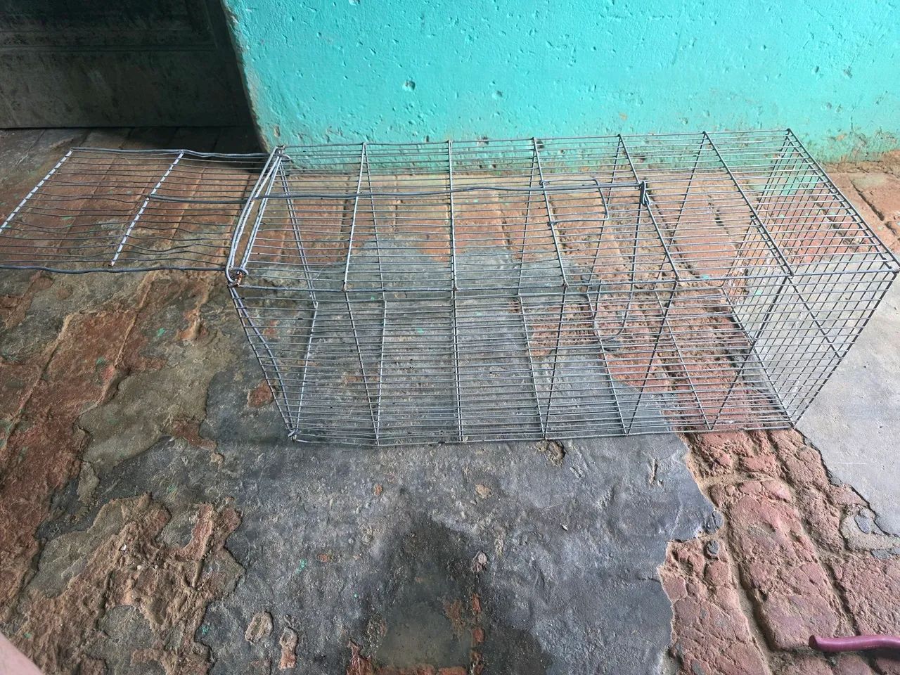 Vende armadilha  - Foto 4