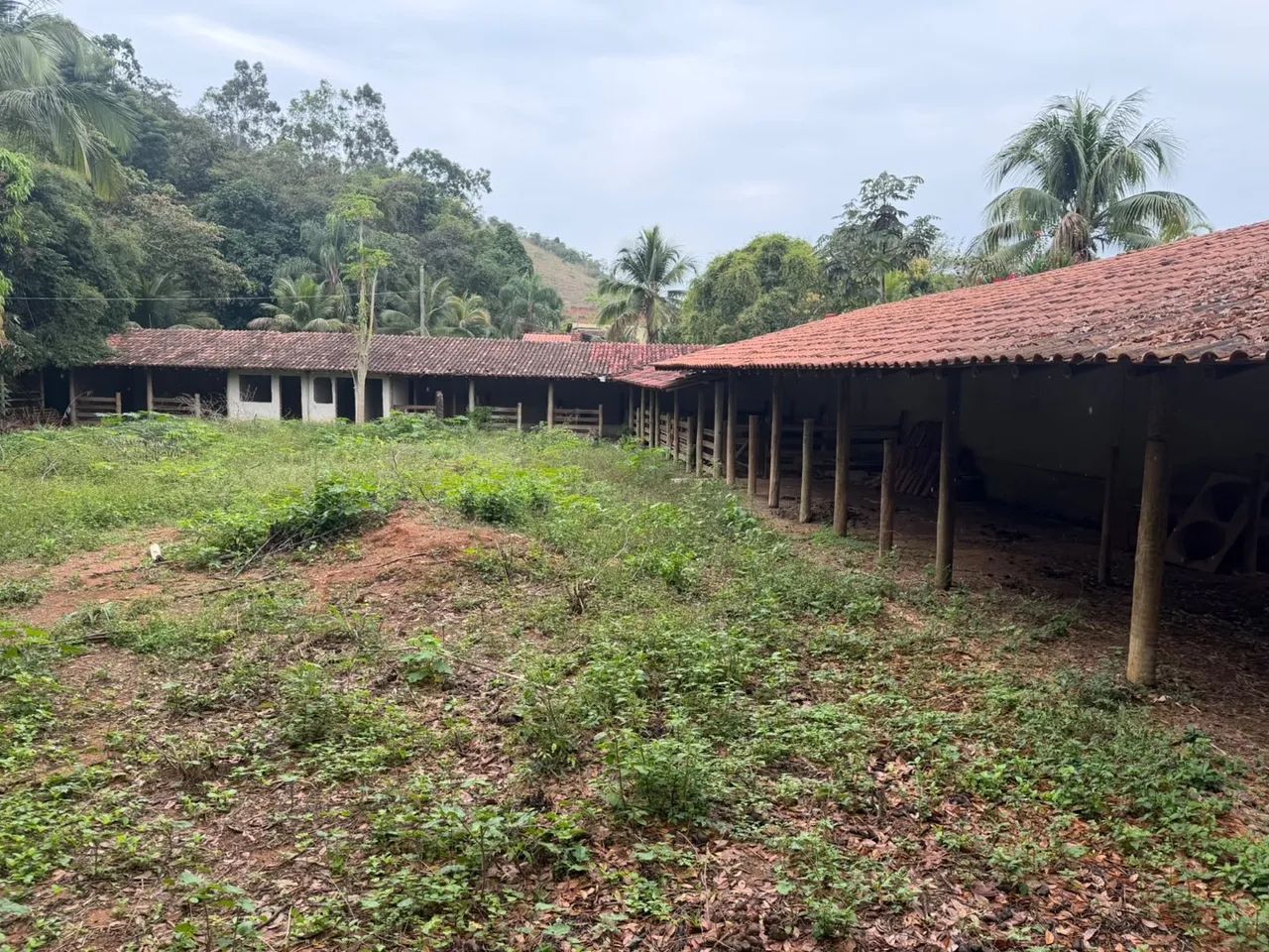 CHÁCARA A VENDA 