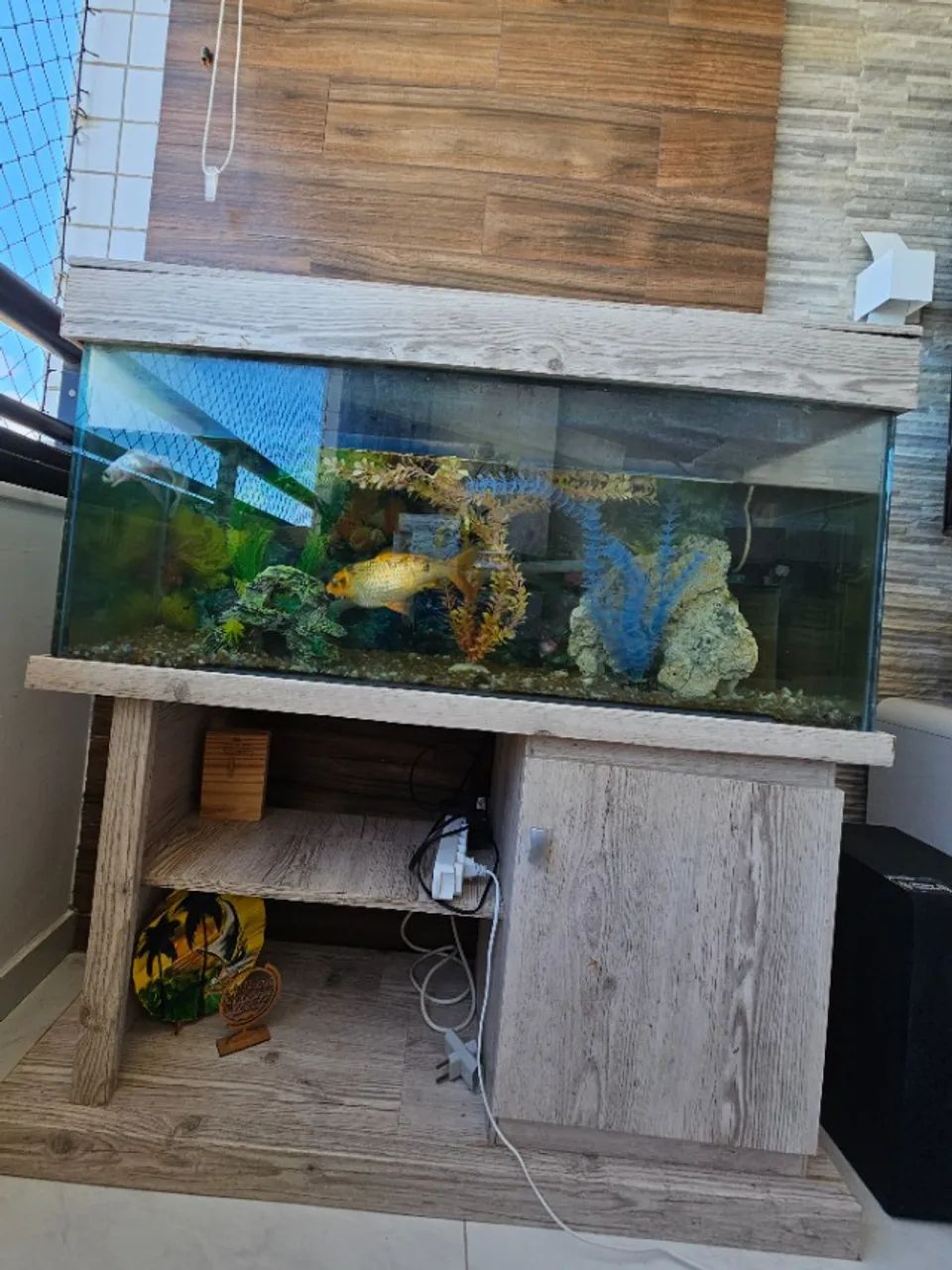 Aquario - Foto 3