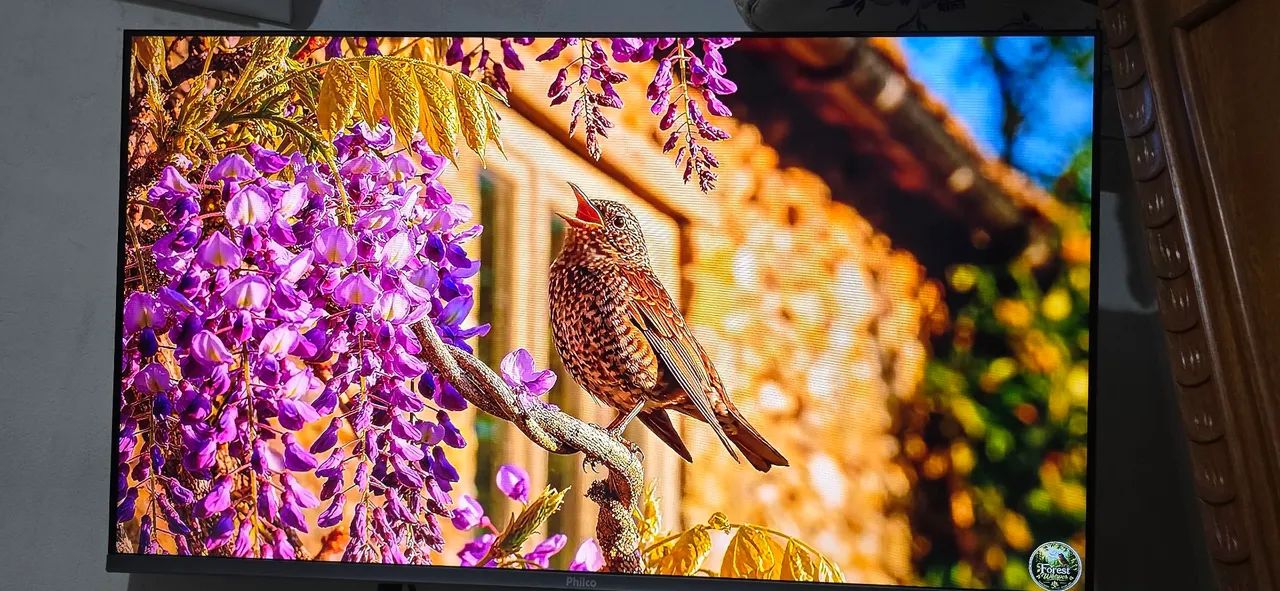 Tv Philco led 4k com nota  - Foto 4
