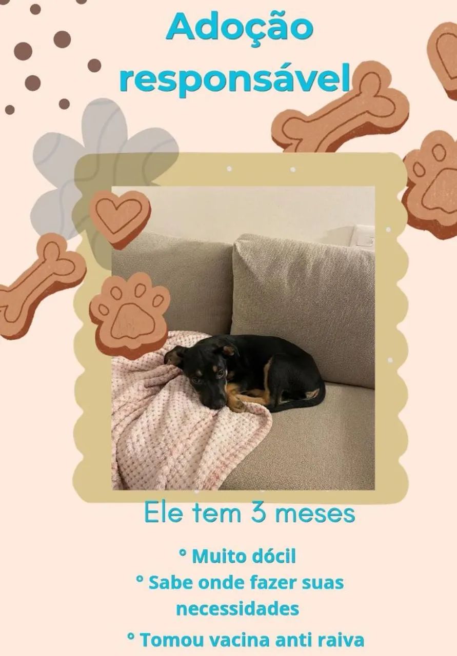 Adoção responsável
