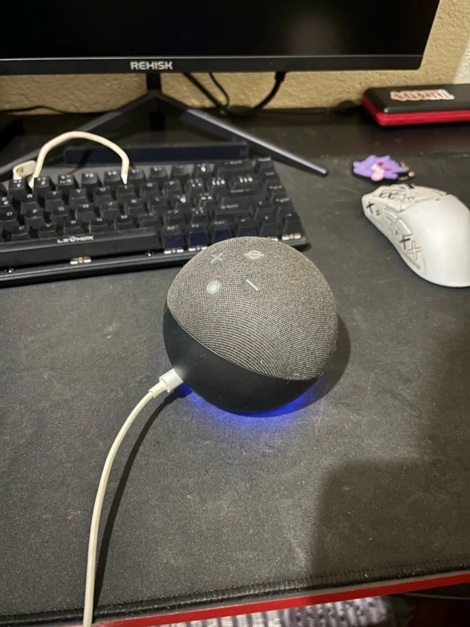 Alexa  - Foto 2