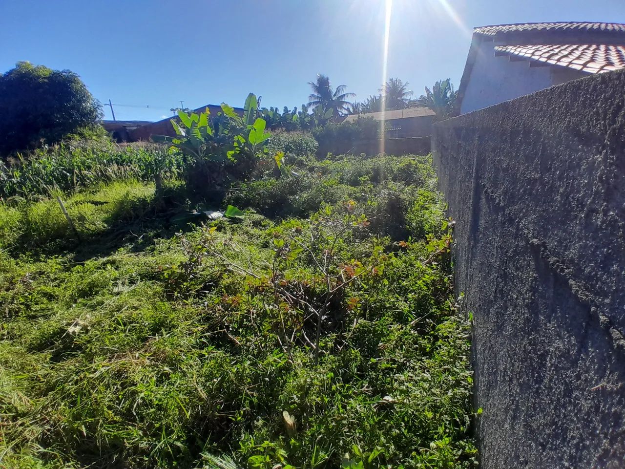 Perto de tudo  - Foto 5