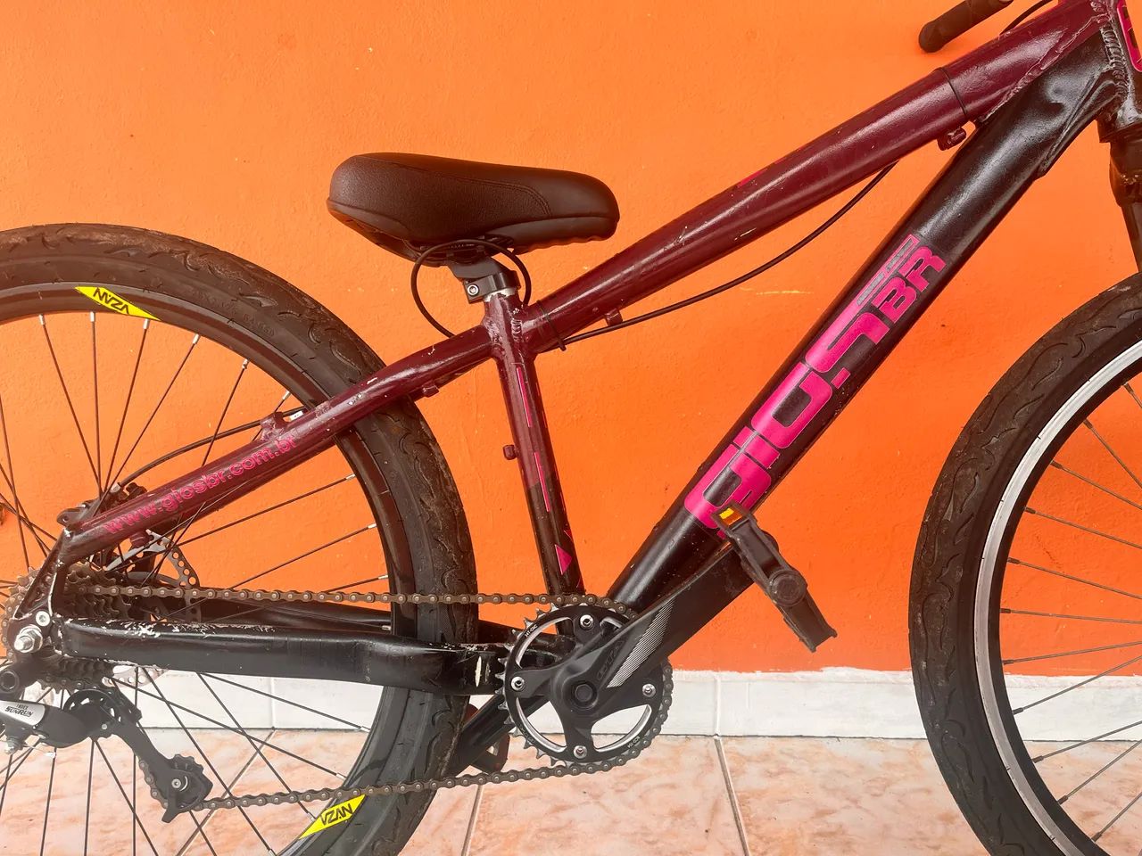 Gios roxa rara - Foto 2