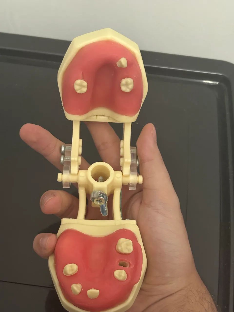 Manequim odontologia  - Foto 2