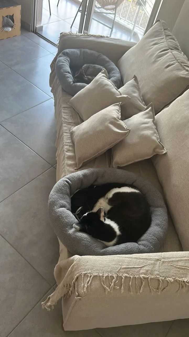 Sofá 2 lugares 