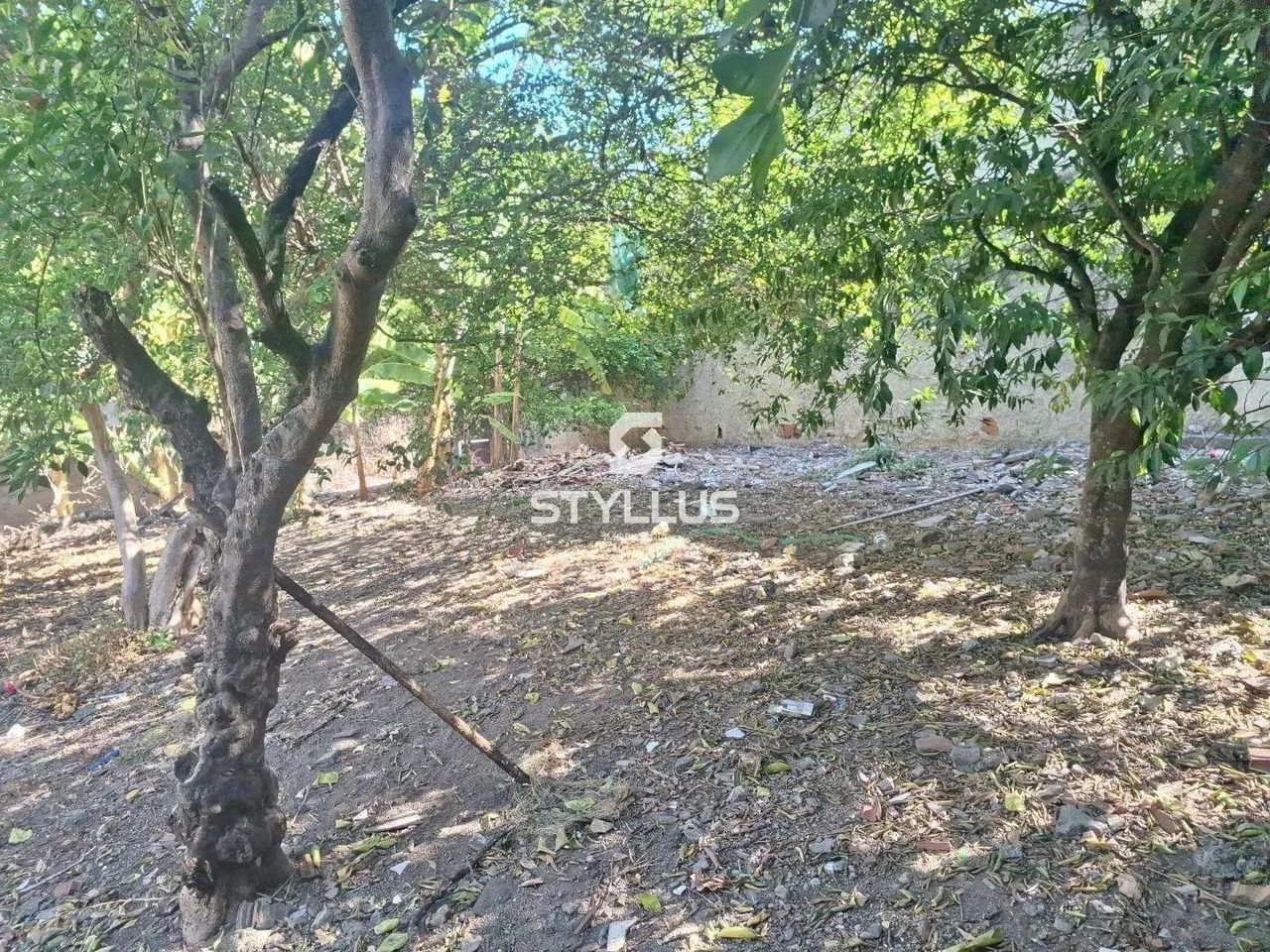 Maria da Graça | Terreno - Foto 7