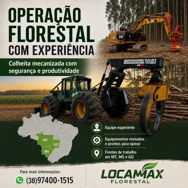 Corte e arraste florestal mecanizado