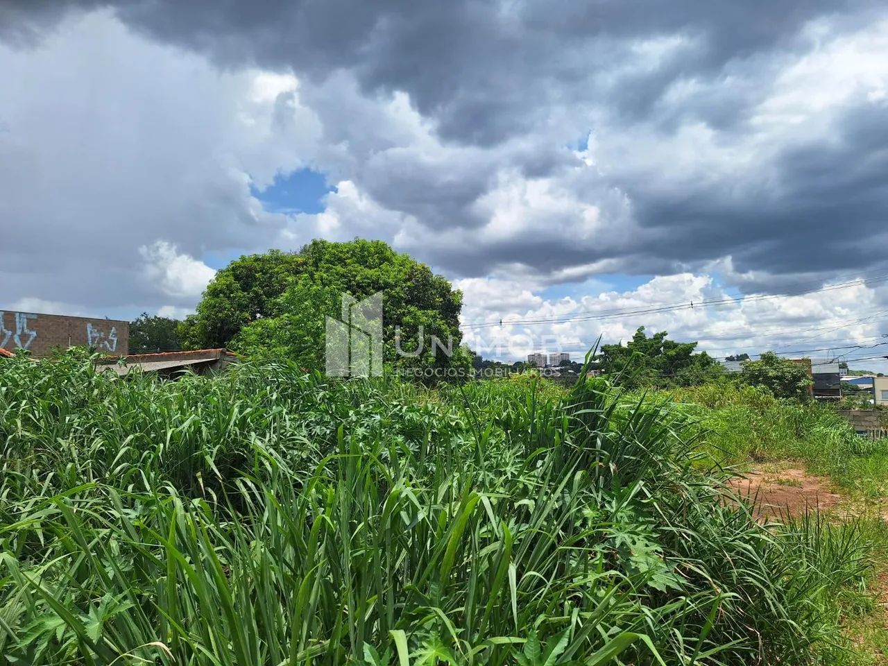 terreno - Jardim Nilópolis - Campinas - Foto 5