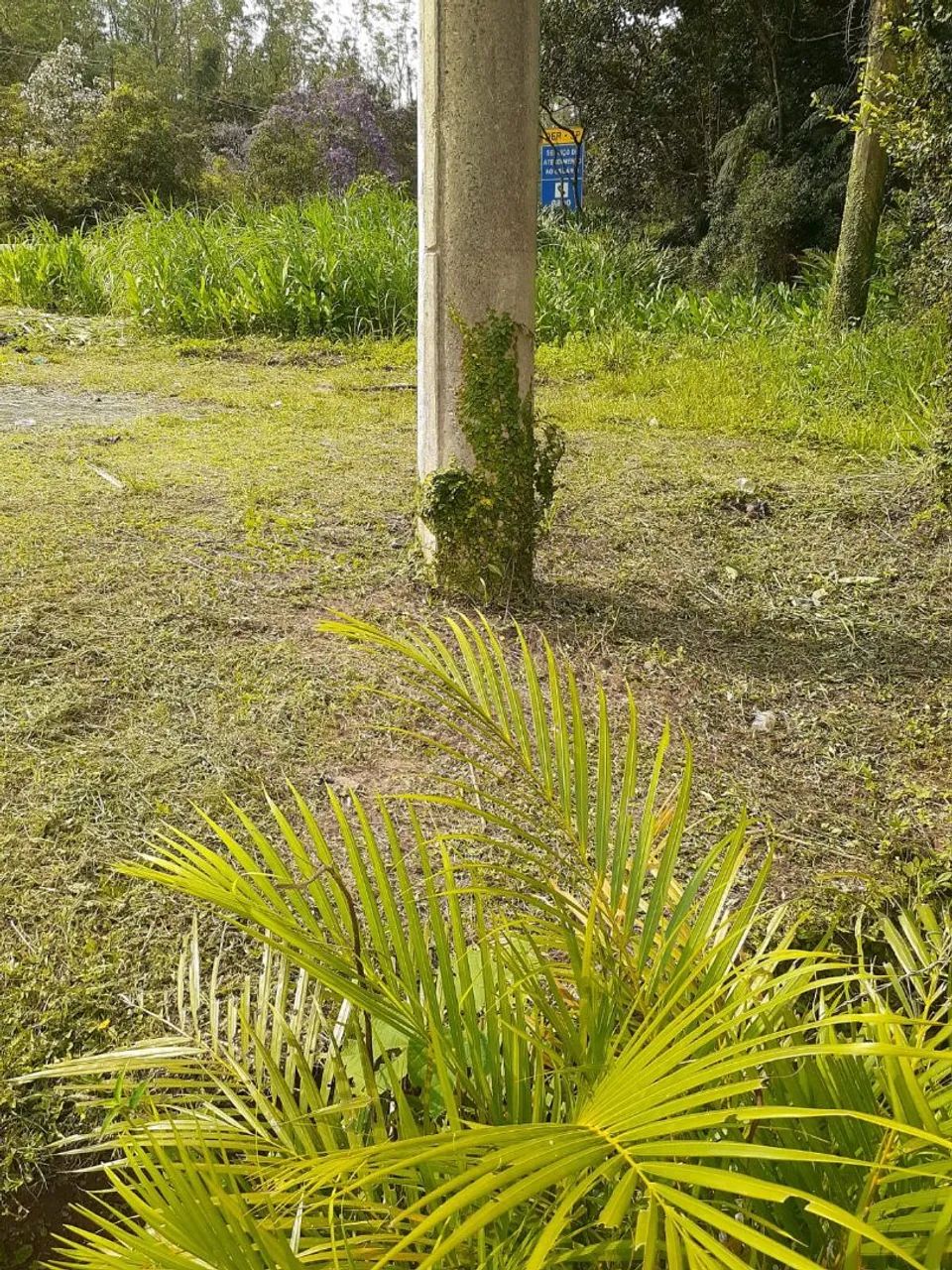 Foto - Ribeirão Pires - Centro Alto