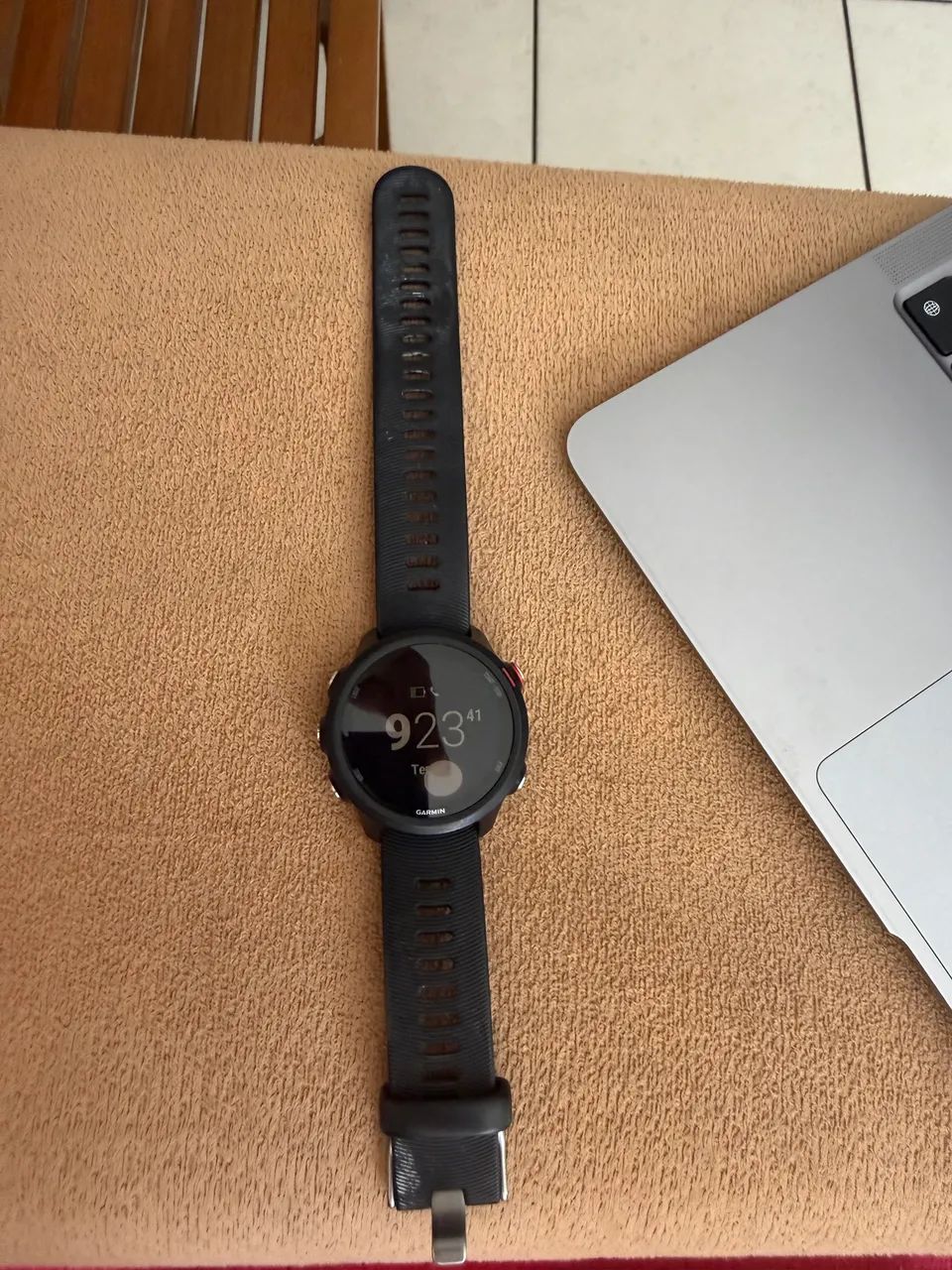 VENDO GARMIN 245 MUSIC