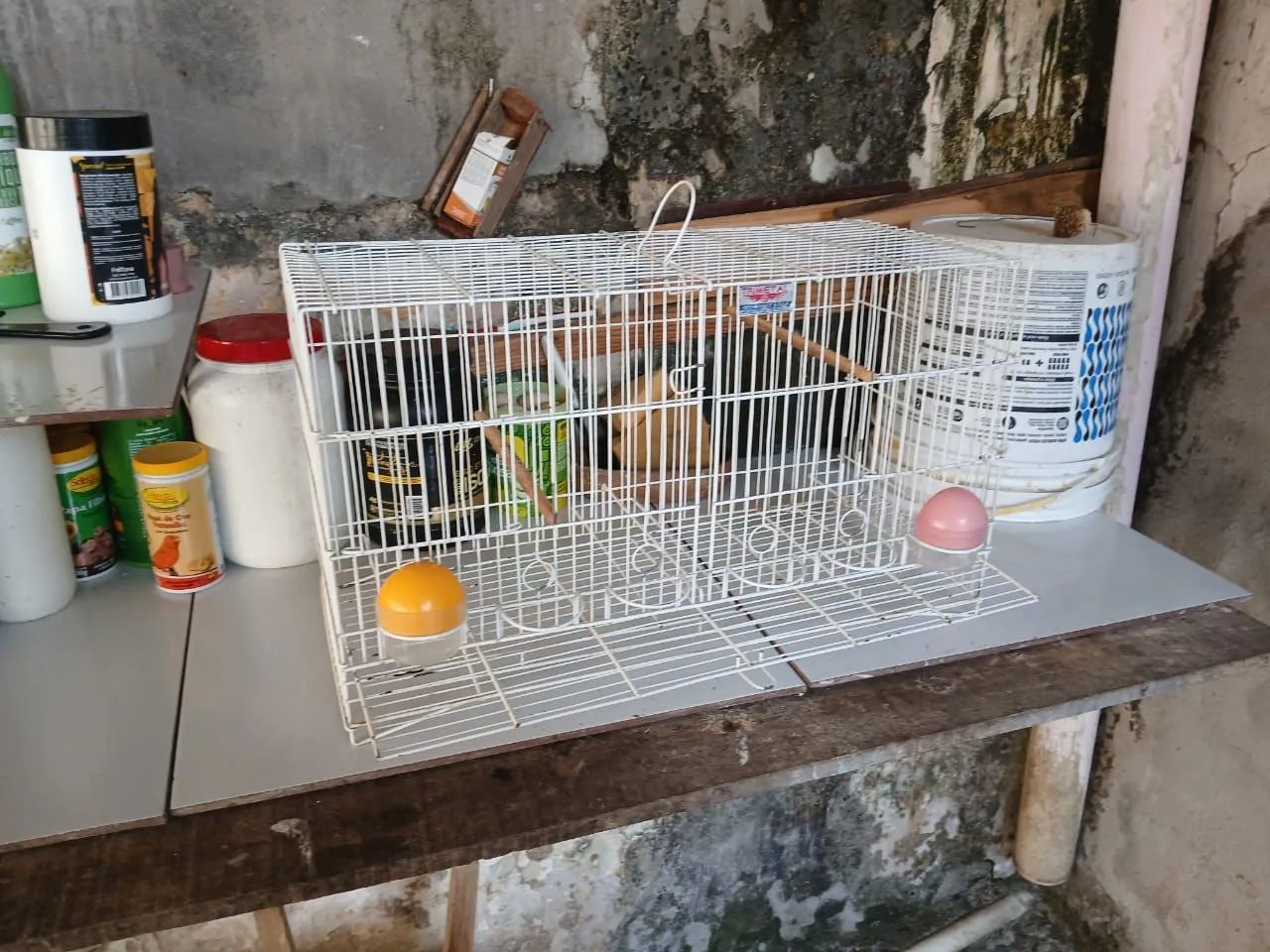Gaiola para reprodução